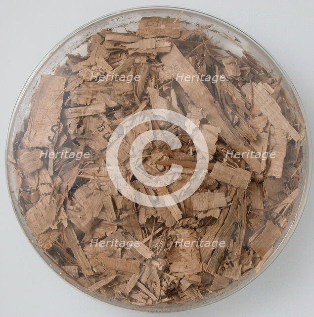 Papyri Fragments, Coptic, 7th century. Creator: Unknown.