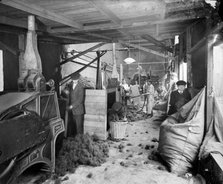 Hair stuffing, Hampton's Munitions Works, Lambeth, London, 1914-1918. Artist: Bedford Lemere and Company