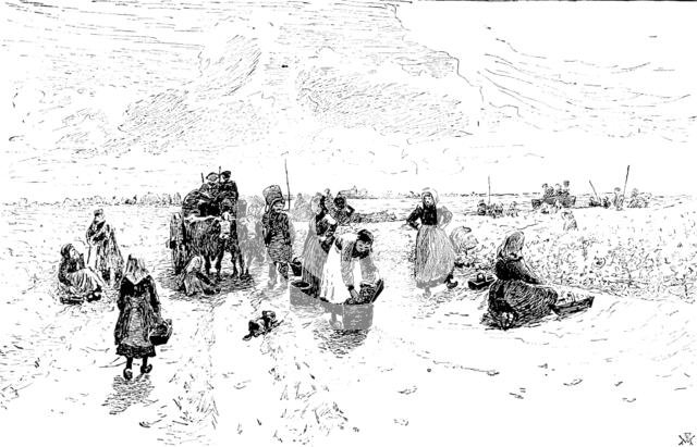 Royal Society of Painters in Water Colours: "The Vintage," Medoc - Robert W. Allan, 1890.  Creator: Unknown.