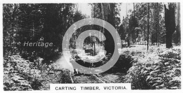 Carting timber, Victoria, Australia, 1928. Artist: Unknown