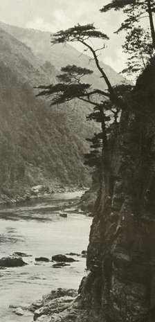 'A Glen on the Katsura-Gawa', 1910. Creator: Herbert Ponting.