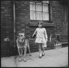 Girl and dog, Middleport, Burslem, Stoke-on-Trent, Staffordshire, 1965-1968. Creator: Eileen Deste.