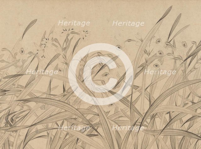 Narcissus, mid-13th century. Creator: Zhao Mengjian.