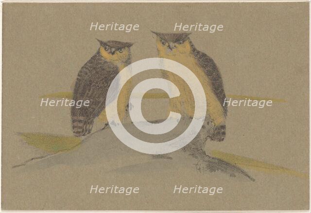 Greeting card with two owls, 1890. Creator: Theo van Hoytema.