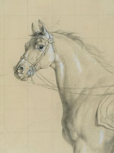 Horse study for "Archduke Karl with his staff in the Battle of Aspern", before 1828. Creator: Johann Peter Krafft.