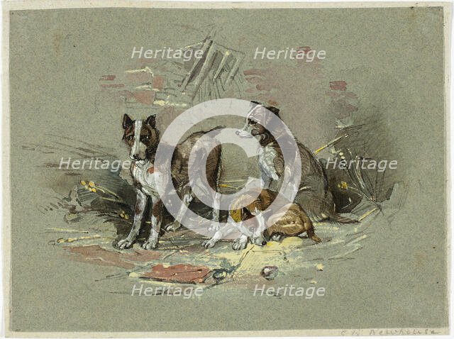 Three Dogs in an Alley, 1825-1877. Creator: Charles B Newhouse.