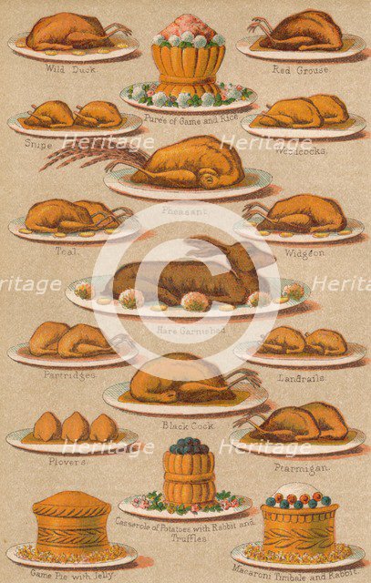 'Household Management - Plate VIII', 1907, (1907). Artist: Unknown.