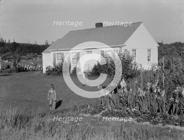 On the Longview homesteads (FSA) initiated in 1934, Cowlitz County, Washington, 1939. Creator: Dorothea Lange.