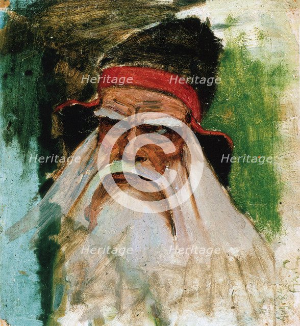 Väinämöinen, 1895. Artist: Gallen-Kallela, Akseli (1865-1931)