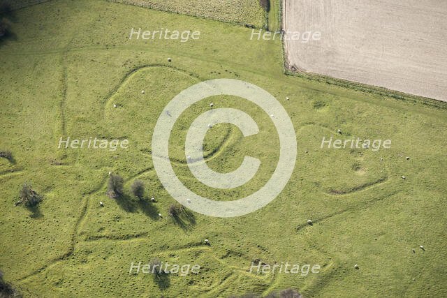 Iron Age and Romano British settlement remains, Cranborne Chase, Wiltshire, 2016. Creator: Damian Grady.