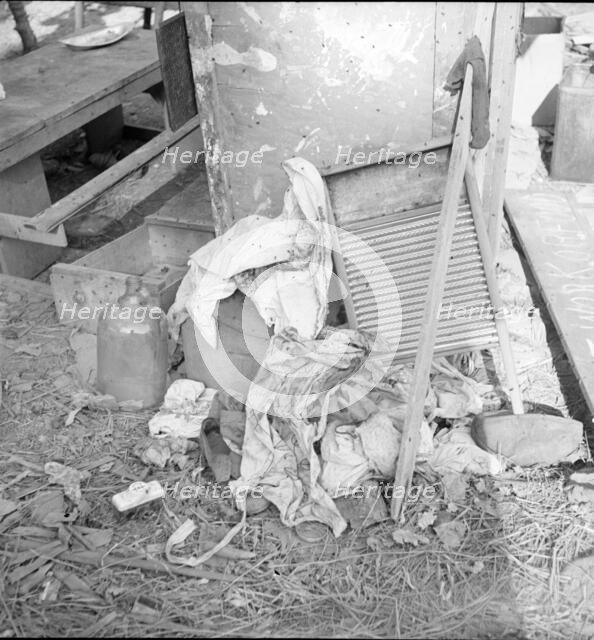 Dirty clothes and flies, American River camp, near Sacramento, California, 1936. Creator: Dorothea Lange.