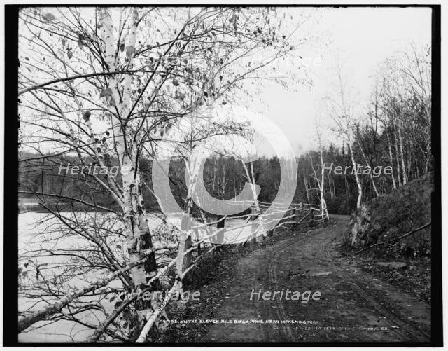 On the eleven mile Birch Drive near Ispeming [sic], Mich., c1898. Creator: Unknown.