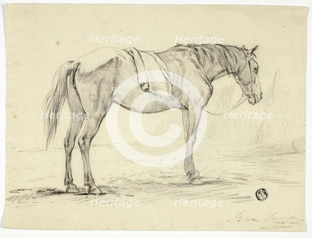 Standing Horse, n.d. Creator: Unknown.