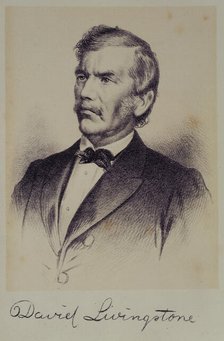 Portrait of David Livingstone, 1875. Creator: Unknown.