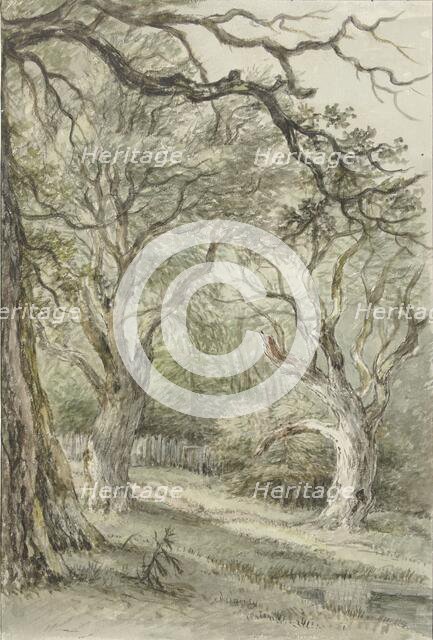 Forest face, 1776-1822. Creator: Jan Hulswit.