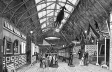 The International Fisheries Exhibition: the Canadian Court, 1883. Creator: Unknown.