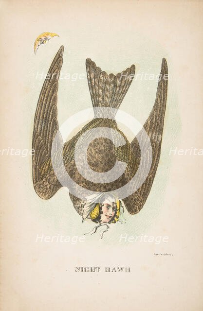 Night Hawk, from The Comic Natural History of the Human Race, 1851. Creators: Henry Louis Stephens, L. Rosenthal.