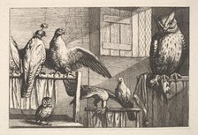 Hawks and owls, 1625-77. Creator: Wenceslaus Hollar.