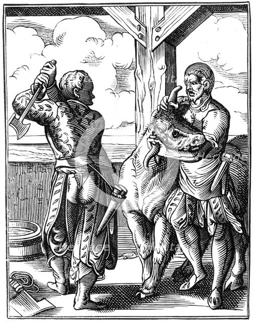 Butcher, 16th century (1849).Artist: Jost Amman