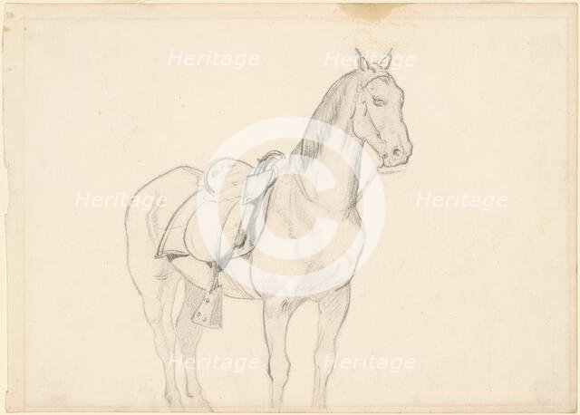 Horse, c. 1860s. Creator: Emanuel Gottlieb Leutze.