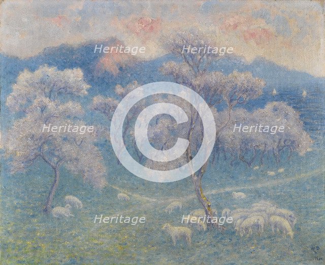 Sheeps and almond blossoms.