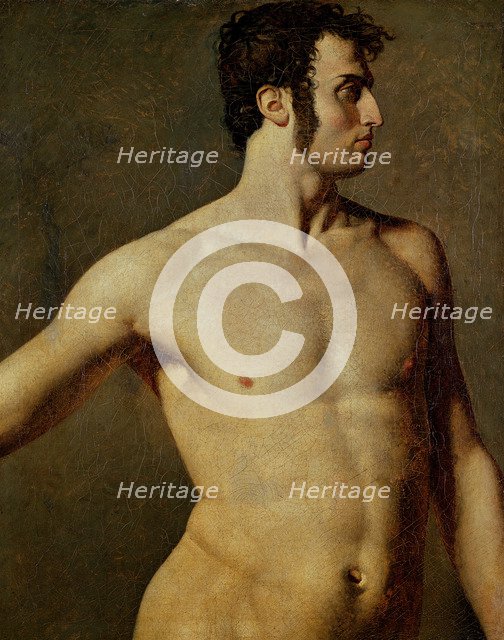 Male Torso. Artist: Ingres, Jean Auguste Dominique (1780-1867)