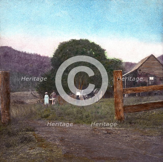 Farm cottage "The Homestead", Canungra Region, c1888. Creator: Robert Augustus Henry L'Estrange.