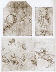 'Horseman', 1480-1481.  Artist: Leonardo da Vinci