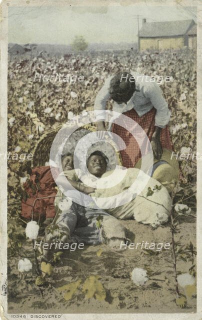 Discovered, In the Land of King Cotton (Cotton Field), ca.1898 - 1931. Creator: Detroit Publishing Company.