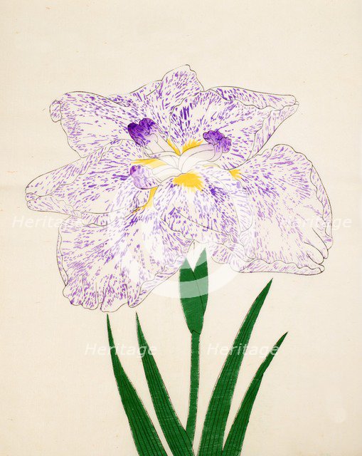 Yamato-Nishiki, No. 31, 1890, (colour woodblock print)