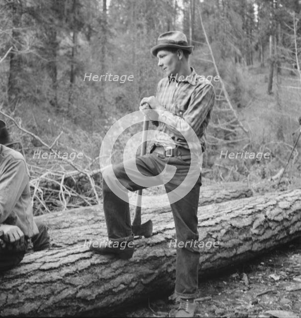 Possibly: Member of the co-op in the woods, Ola self help cooperative..., Gem County, Idaho, 1939. Creator: Dorothea Lange.