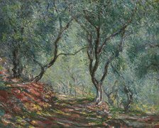 Bois d'oliviers au jardin Moreno, 1884. Artist: Monet, Claude (1840-1926)