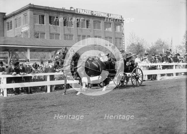Horse Shows - Teams, 1911. Creator: Harris & Ewing.