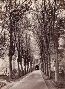 Avenue to the Church, Stratford on Avon, between 1870 and 1880. Creator: Francis Bedford.