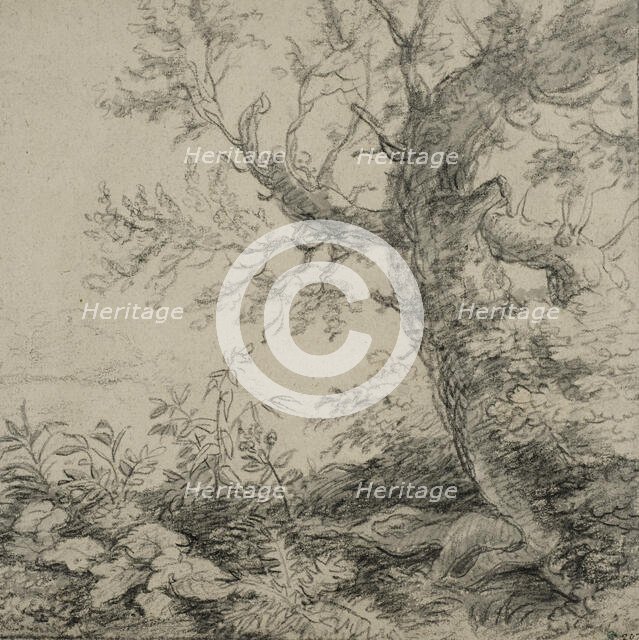 Landscape with a tree, ca 1630-1690. Creator: Anthonie Waterloo.