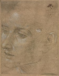 Head of a Young Man, second half 1400s. Creator: Filippino Lippi (Italian, 1457-1504).
