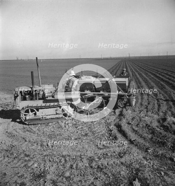 Large-scale, mechanized farming - potato planter, Kern County, California, 1939. Creator: Dorothea Lange.