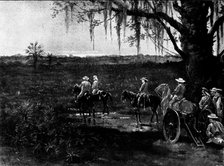 The Spanish-American War: the deadly Palmetto Swamps of Cuba, 1898. Creator: Unknown.