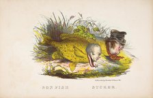 Son Fish and Sucker, from The Comic Natural History of the Human Race, 1851. Creators: Henry Louis Stephens, L. Rosenthal.