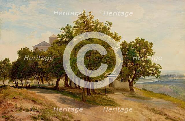 Tree group on Kahlenberg with a view of Vienna, c1840. Creator: Friedrich Loos.