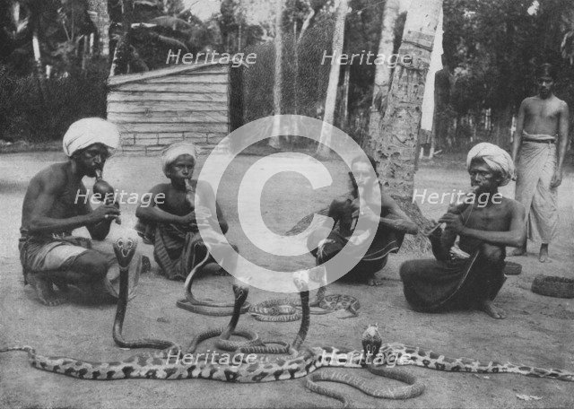 'Snake Charmers', c1890, (1910). Artist: Alfred William Amandus Plate.