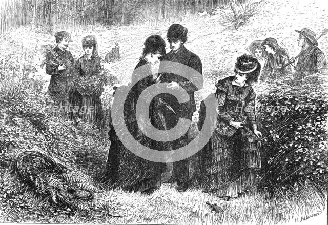 Gathering ferns, 1871. Creator: H Paterson.