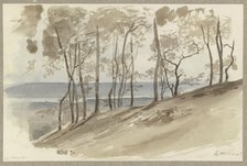 Group of trees on a slope near Hallgarten, the Rhine and a ridge in the background, 1845. Creator: Carl Theodor Reiffenstein.