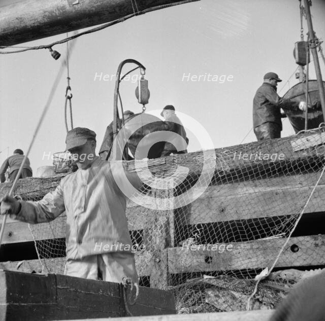 Dock stevedores at the Fulton fish market sending up baskets of fish..., New York, 1943. Creator: Gordon Parks.
