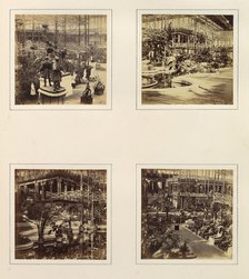 [View From Music Court to South Transept; View in Tropical Department; View of the Egy..., ca. 1859. Creator: Attributed to Philip Henry Delamotte.