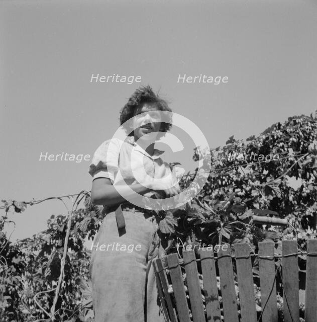 Possibly: Wife of an ex-logger, now a migrat..., Independence (vicinity), Polk County, Oregon, 1939. Creator: Dorothea Lange.
