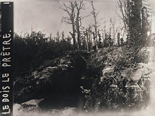 Trenches, Bois-le-Prêtre, Lorraine, northern France, c1914-c1918. Artist: Unknown.