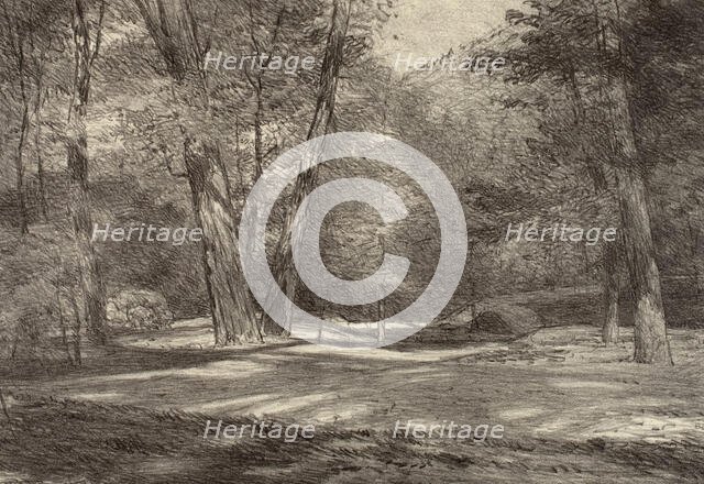 Sierra Woods, 1920s. Creator: Bolton Coit Brown.