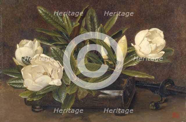 'Magnolias', 1867-1920. Artist: Alfred William Parsons.