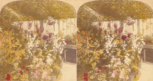 Pair of Stereograph Views of the Royal Botanic Gardens, Kew Gardens, London, England, 1850s-1910s. Creator: J F Jarvis.